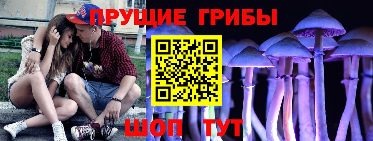 Псилоцибиновые грибы Psilocybine cubensis  Вход с VPN  Донецк 